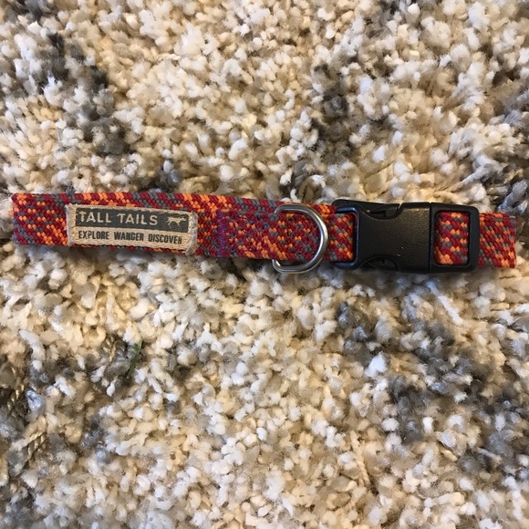 Small Dog Collar - Picture 3 of 4